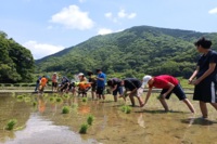 五感を刺激する自然の恵み！農業