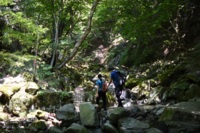 肌で感じる山の魅力！滝めぐり