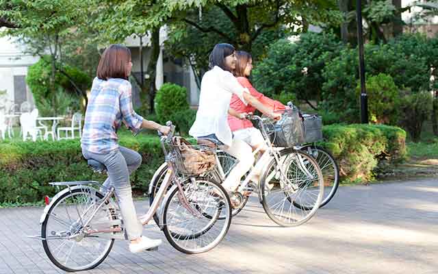 違い③　登校・学習環境の自由度